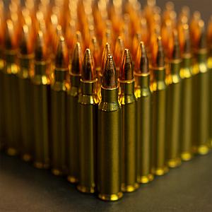5.56/.223